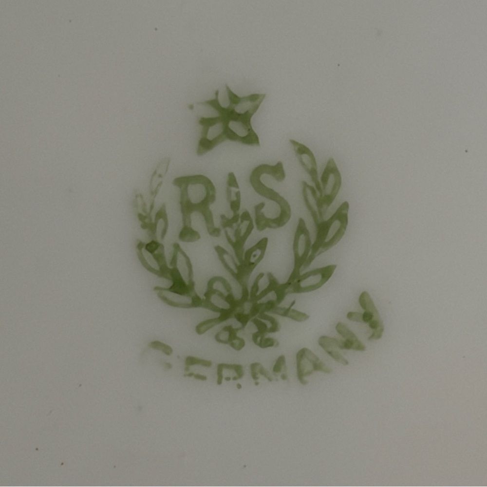 Vintage RS Germany Reinhold Schlegelmilch 10" Porcelain Dish Hand Painted Roses - Picture 5 of 6